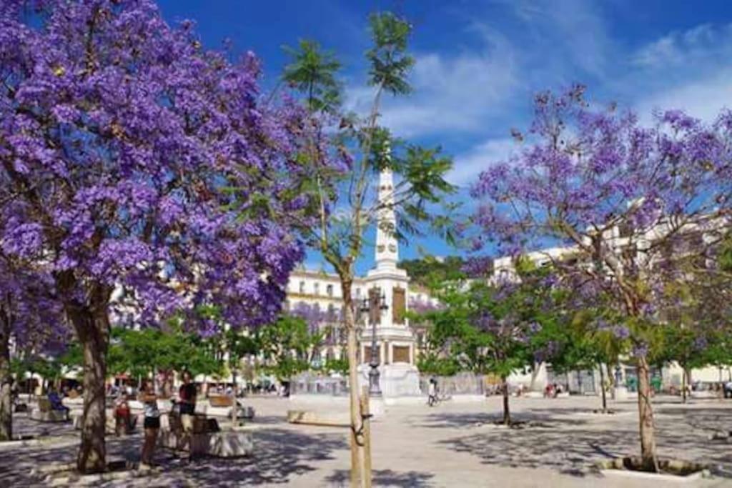 Corazon Centro Historico Accommodatie bij particulieren *